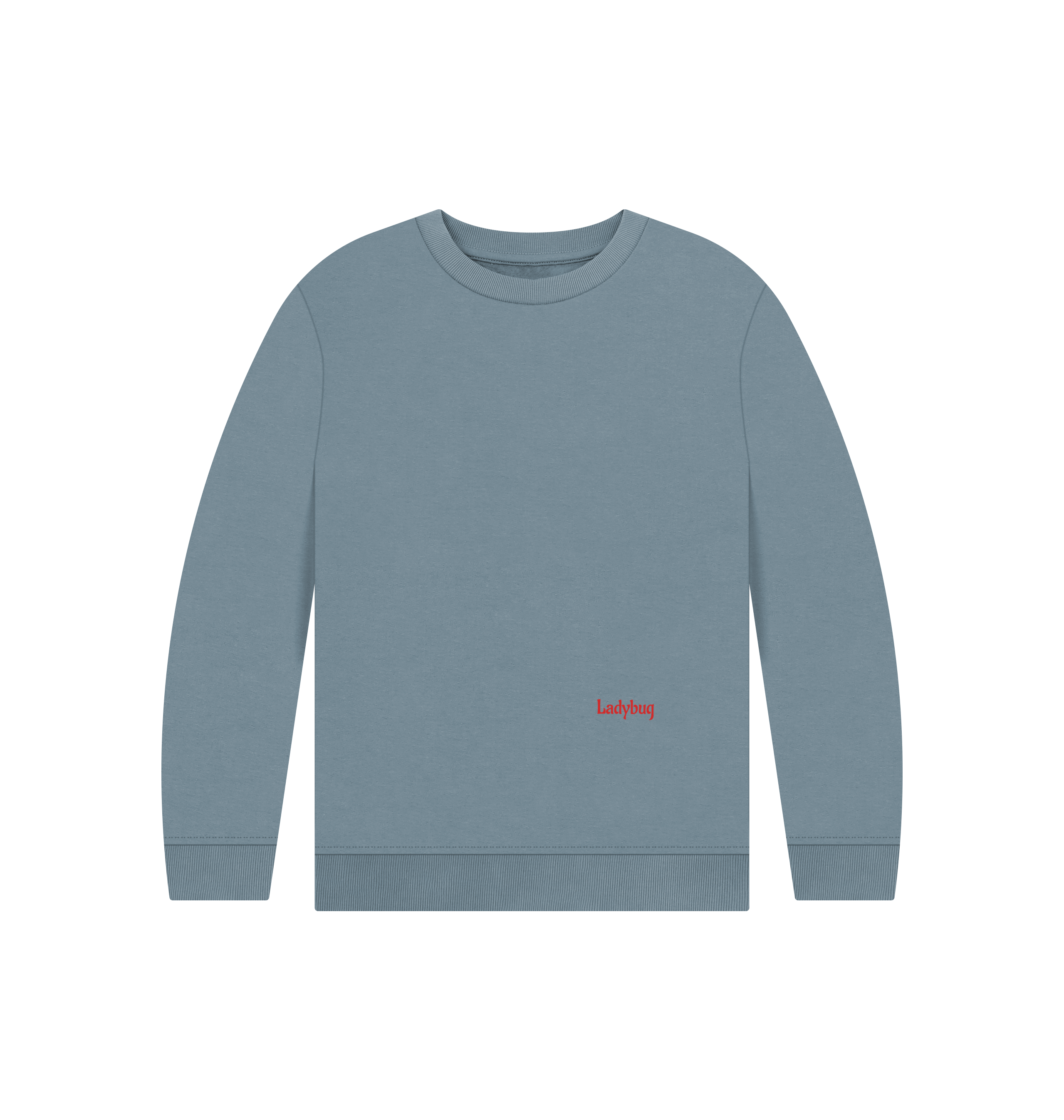 Stone Blue Printed Kids Jumper Front