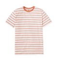 Coral Stripes Printed Premium T-Shirt Front
