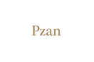 Pzan Single Colour Wordmark Logo