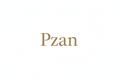 Pzan Single Colour Wordmark Logo